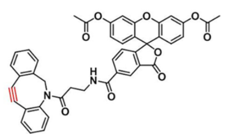 5-diacetate FAM DBCO