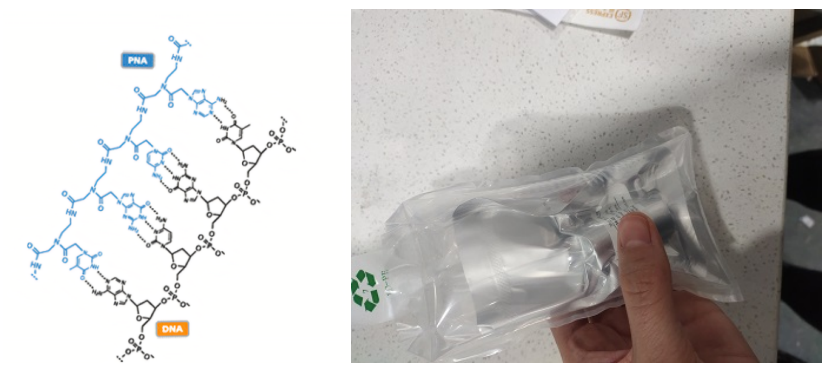 大豆过氧化酶标记肽核酸