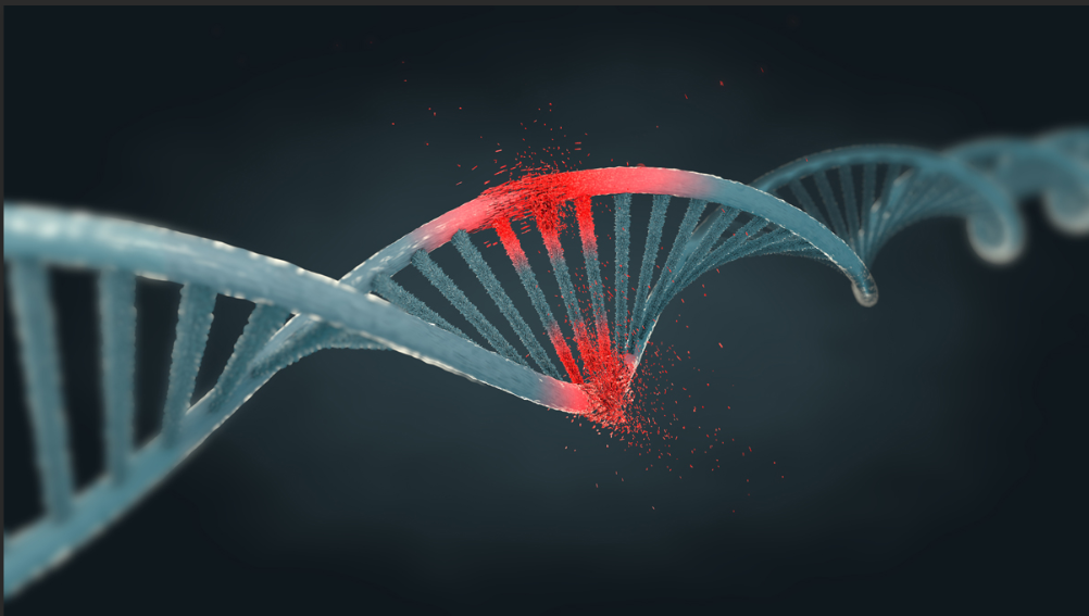 巯基,炔基偶联DNA