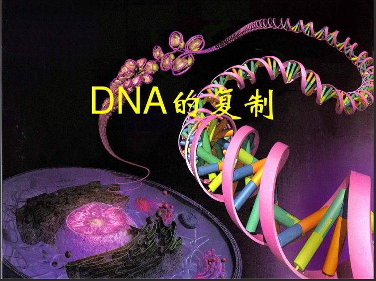 酰基功能化脱氧核糖核酸DNA