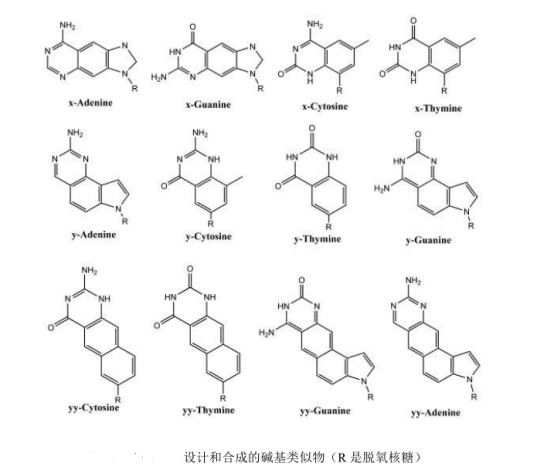 DNA修饰ZnSe荧光量子点