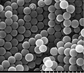 Protein-SiO2 nanospheres