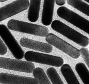 PEG-SiO2 nanorods