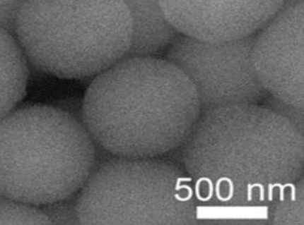 Protein-Mesoporous silica nanospheres