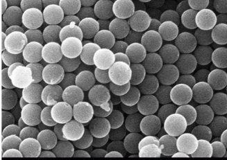  PEG-Pollen silica nanospheres