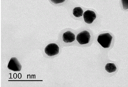 antibody-golden nano tetrahedron