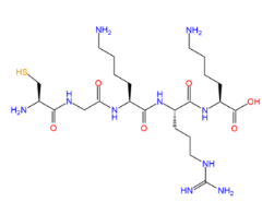 Cys-Gly-Lys-Arg-Lys