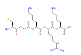 Cys-Gly-Lys-Arg-Lys