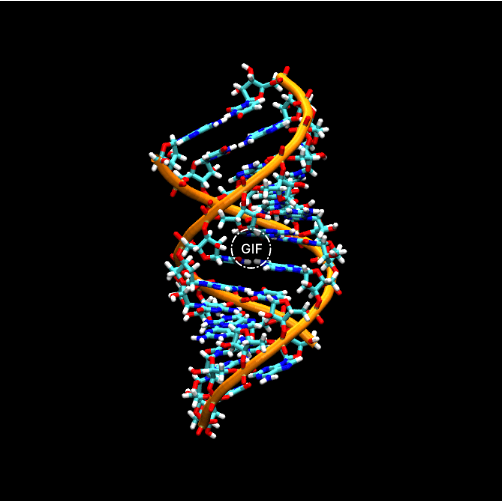 RNA(核糖核酸)偶联抗-8-甲基腺苷 (m8A) 抗体