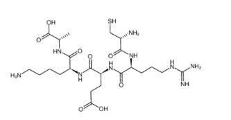  Cys-Arg-Glu-Lys-Ala