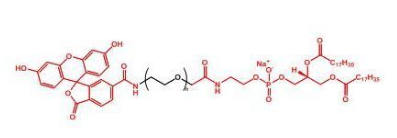 DSPE-PEG-T7(HAIYPRH)