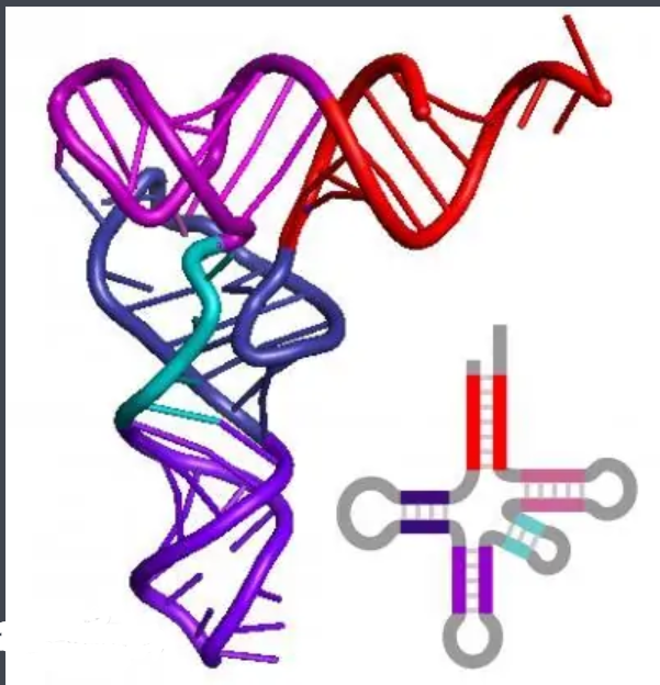 RNA核糖核酸修饰RNA-HiLyte FluorTM 荧光染料