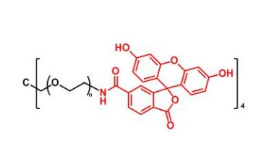  4Arm-PEG-Fluoresein
