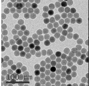 Angiopep血管肽偶联Fe3O4四氧化三铁纳米粒