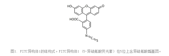 异硫氰酸荧光素