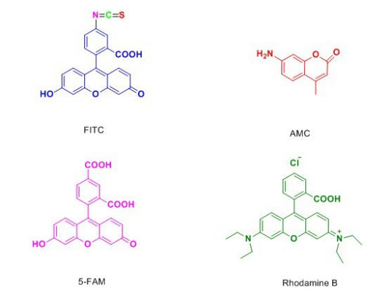 高分子聚合物载药纳米粒