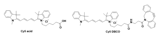 近红外荧光染料Cy5