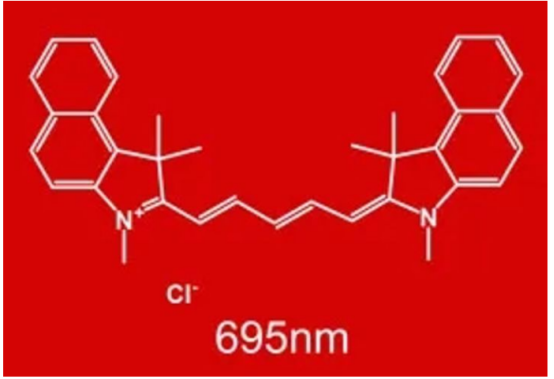 菁染料Cy5.5标记聚合物载药纳米粒