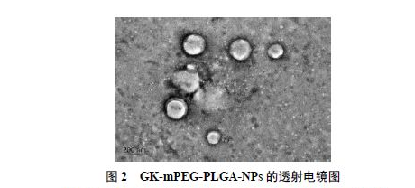 GK-mPEG-PLGA-NPs