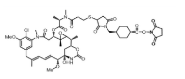 SMCC-DM1