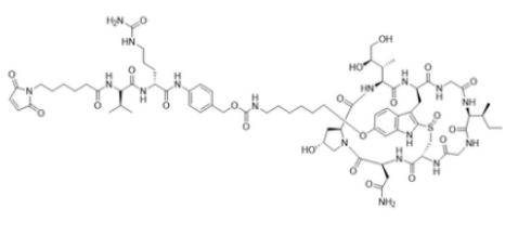 MC-vc-PAB-C6-a-amanitin