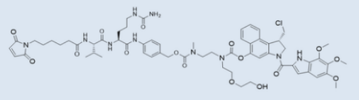 MC-vc-PAB-(PEG2)-duocarmycin TM