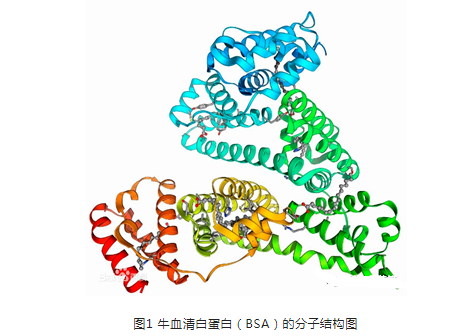 牛血清白蛋白(BSA)纳米粒