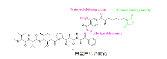 叶酸偶联米托蒽醌牛血清白蛋白纳米粒