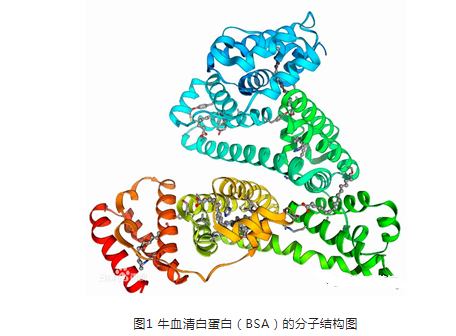 白藜芦醇牛血清白蛋白纳米粒