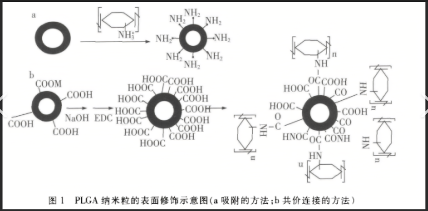 阿魏酸钠白蛋白纳米粒