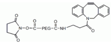 DBCO-PEG-NHS