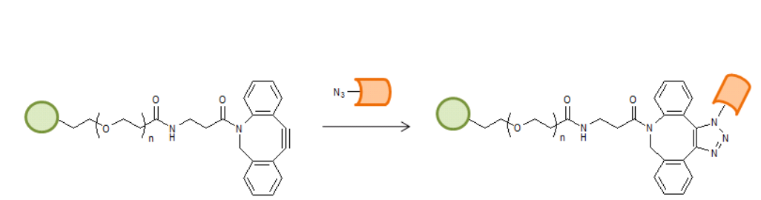 DBCO-PEG-Heparin 