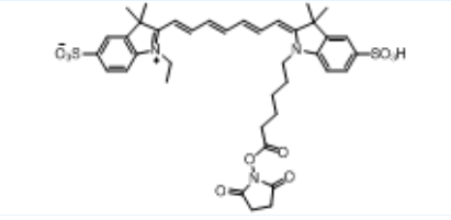 Sulfo Cy7 NHS ester