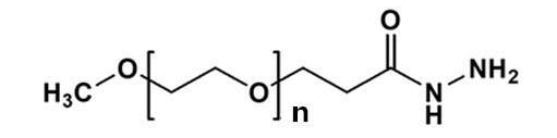 mPEG-Hydrazide