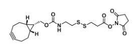 endo-BCN-SS-NHS ester