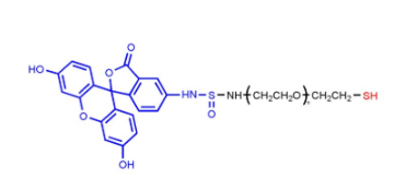 荧光素聚乙二醇巯基