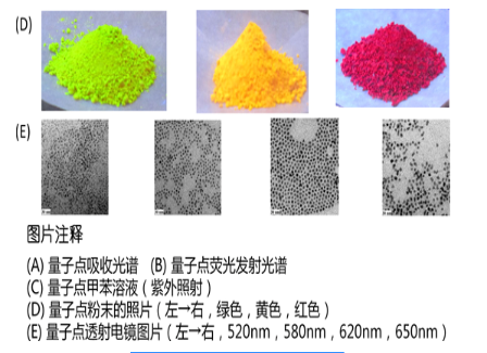 油溶性CdSe量子点