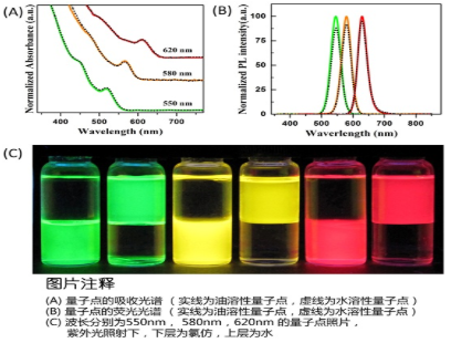 水溶性CdSe/ZnS量子点