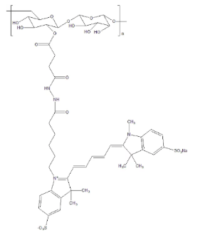 葡聚糖-CY5