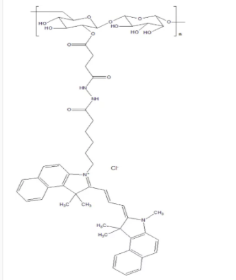 葡聚糖-Cy3.5