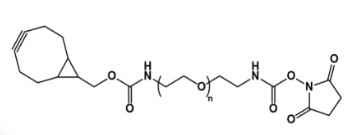 BCN-PEG-NHS