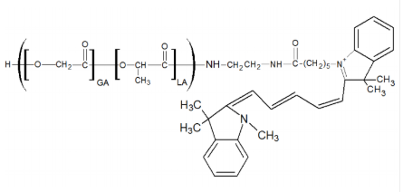 PLGA-CY5