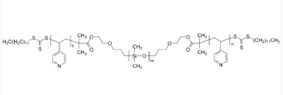 P4VP-PDMS-P4VP