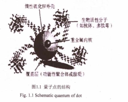 CsPbBr 3量子点溶液