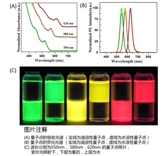 水溶性CdSe/ZnS量子点