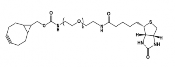 	BCN-PEG-Biotin   