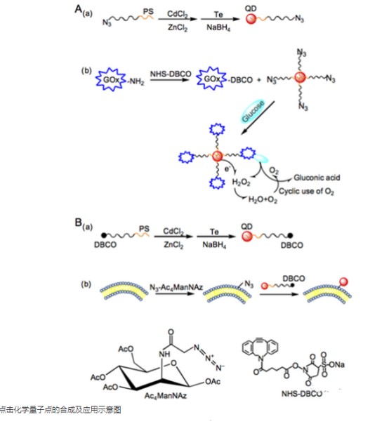 DNA功能化量子点