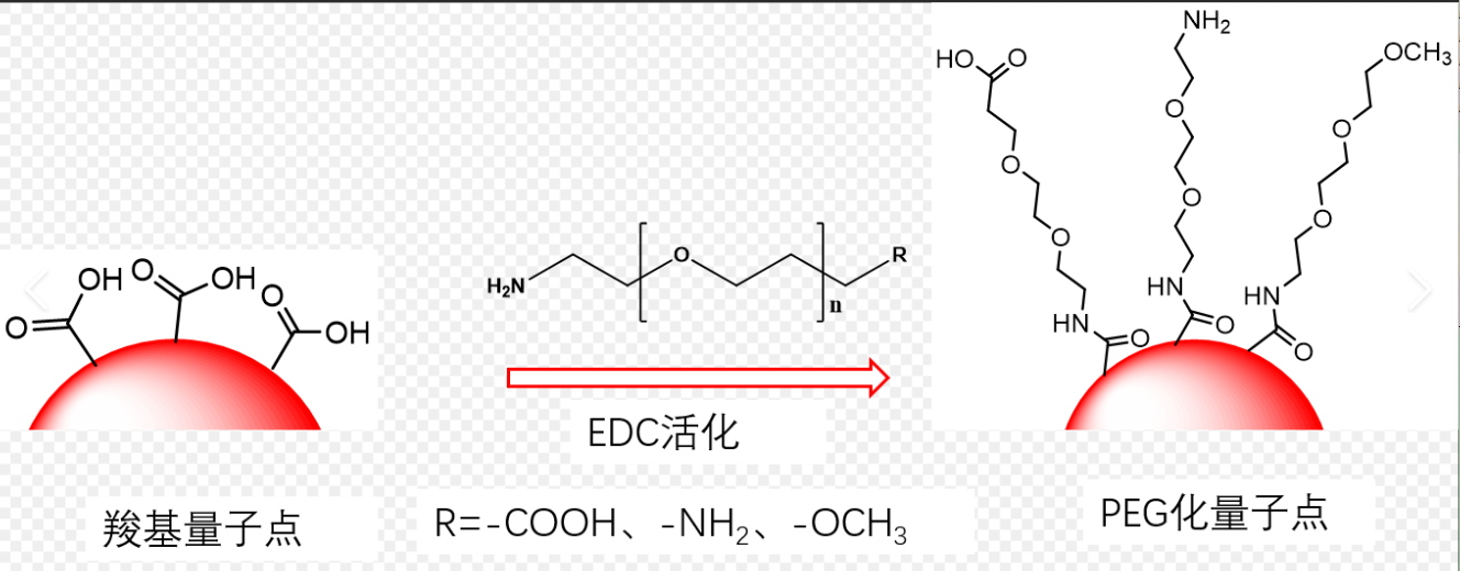 PEG-COOH修饰CdSe/ZnS量子点