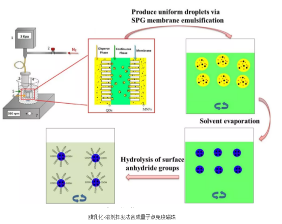 量子点微球