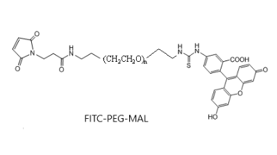 FITC-PEG-MAL